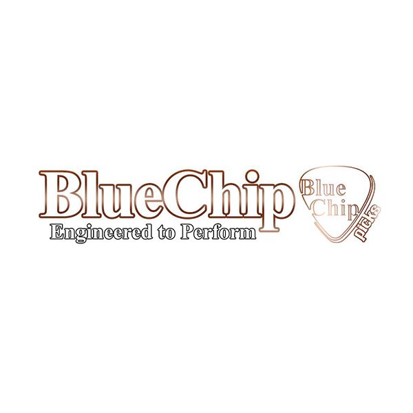 blue-chip